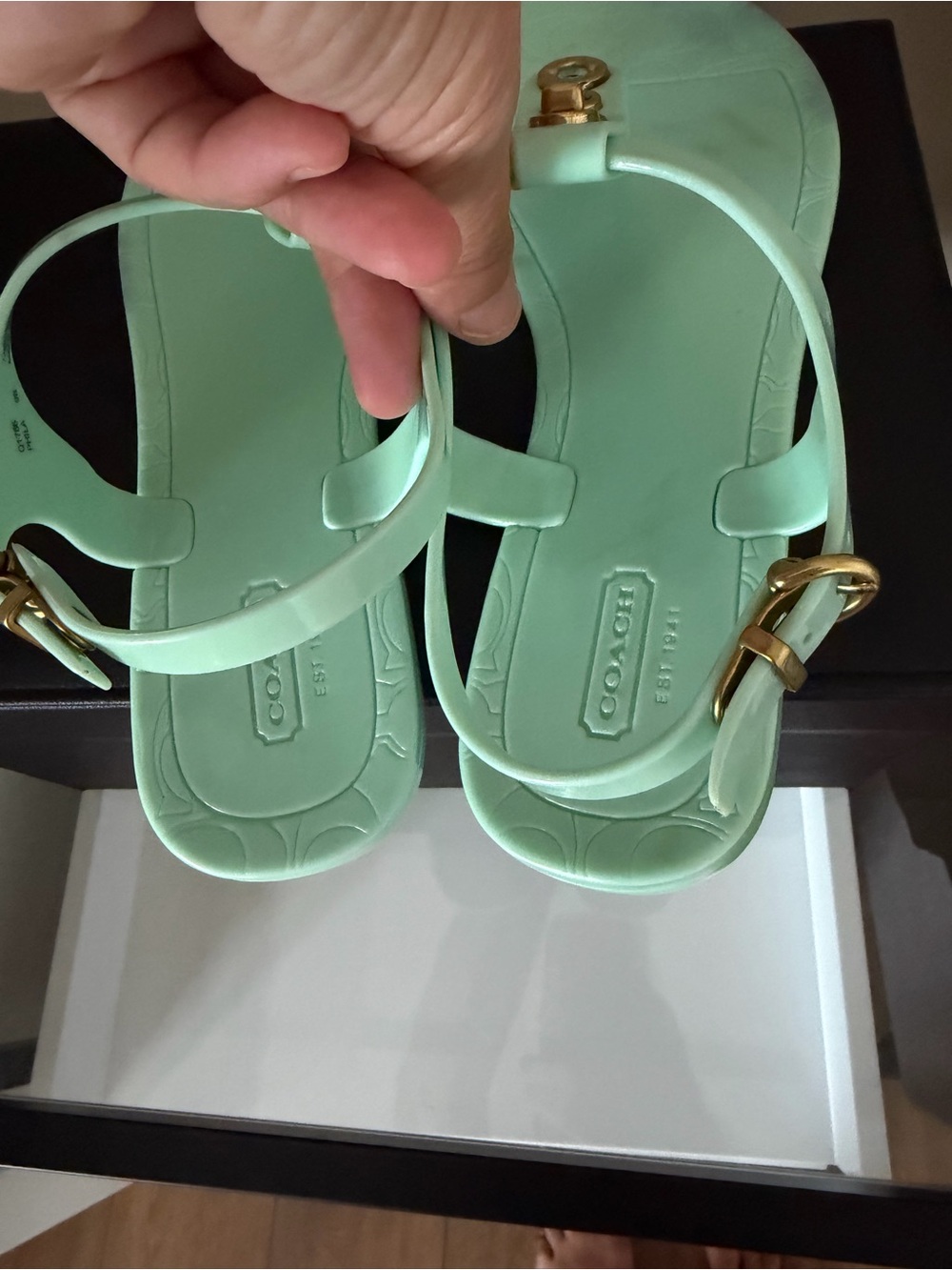 COACH Phila Mint Green Jelly Thong Sandals with Gold Turnlock Accents - Size 9B - Picture 11 of 13